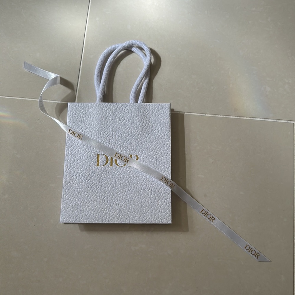 Dior Shopping Bag or gift bag
